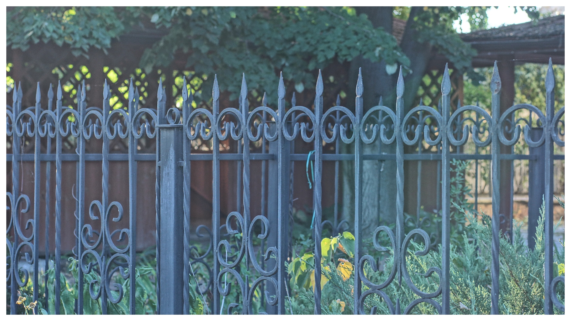 Woman Being Attacked By Monkeys Is Impaled By Steel Rod