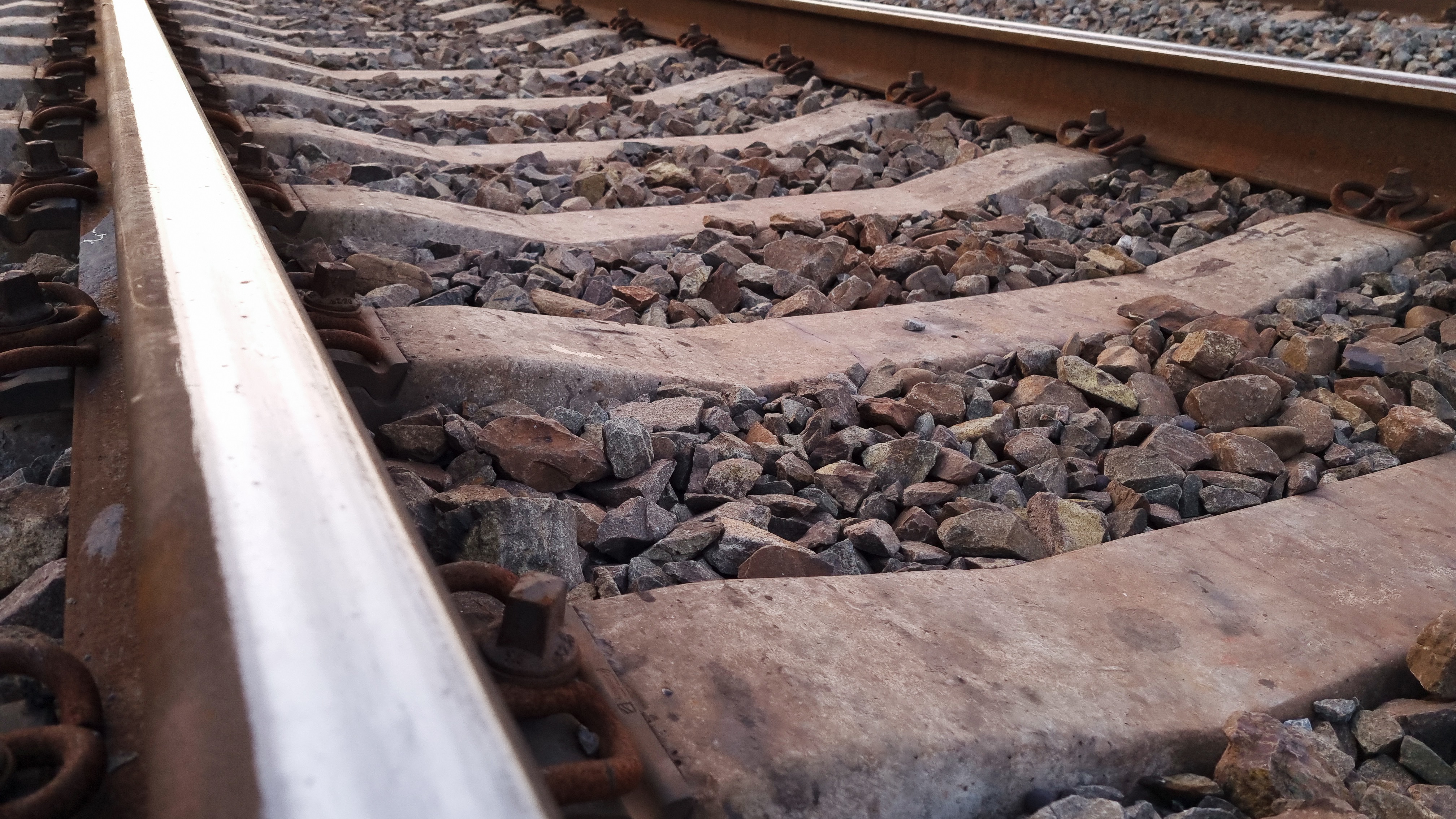 Lollapalooza ConcertGoers Get Shocked While Taking Selfies On Train