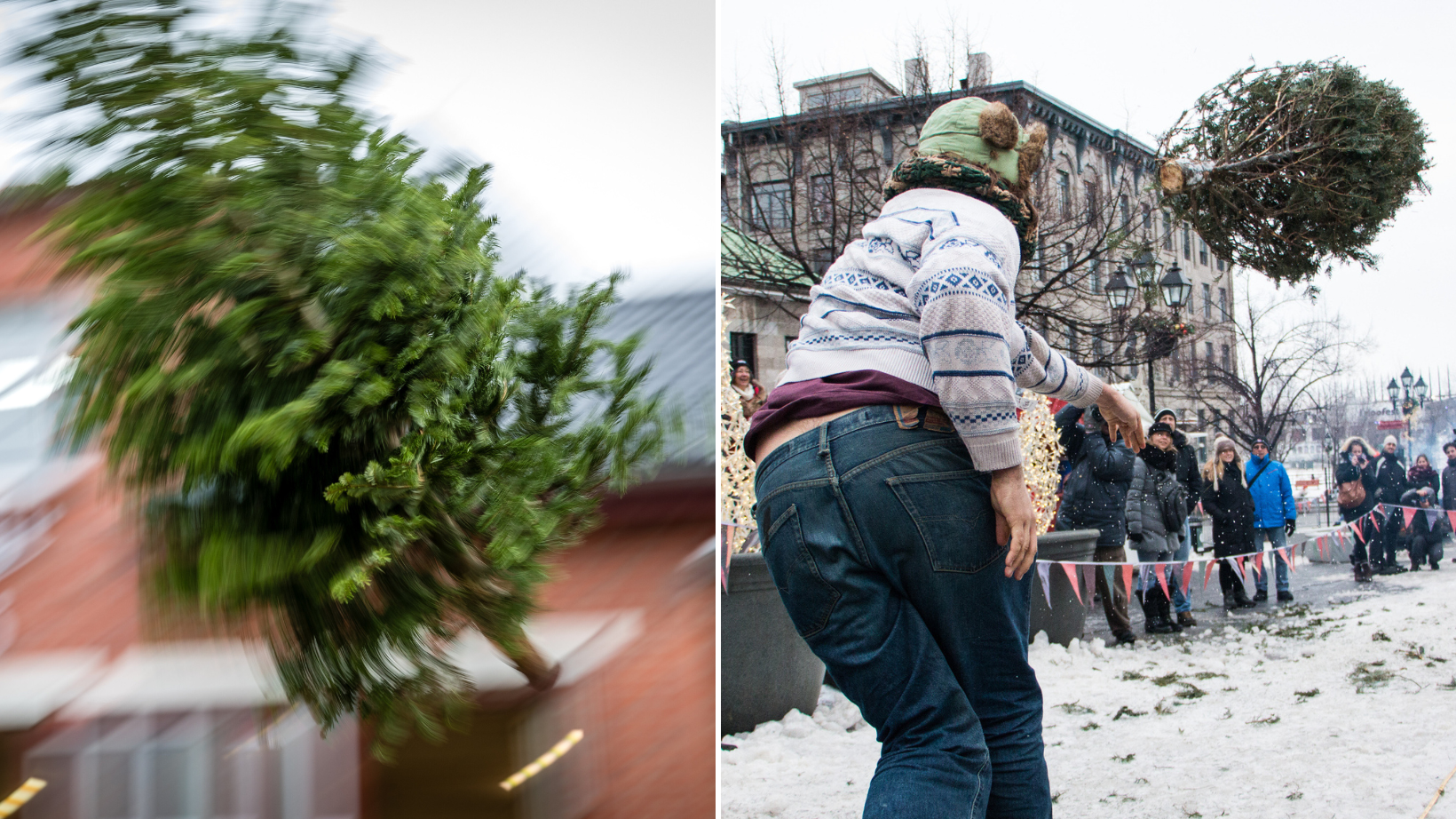 Mom's Insurance Claim Dismissed After She Wins Christmas TreeThrowing