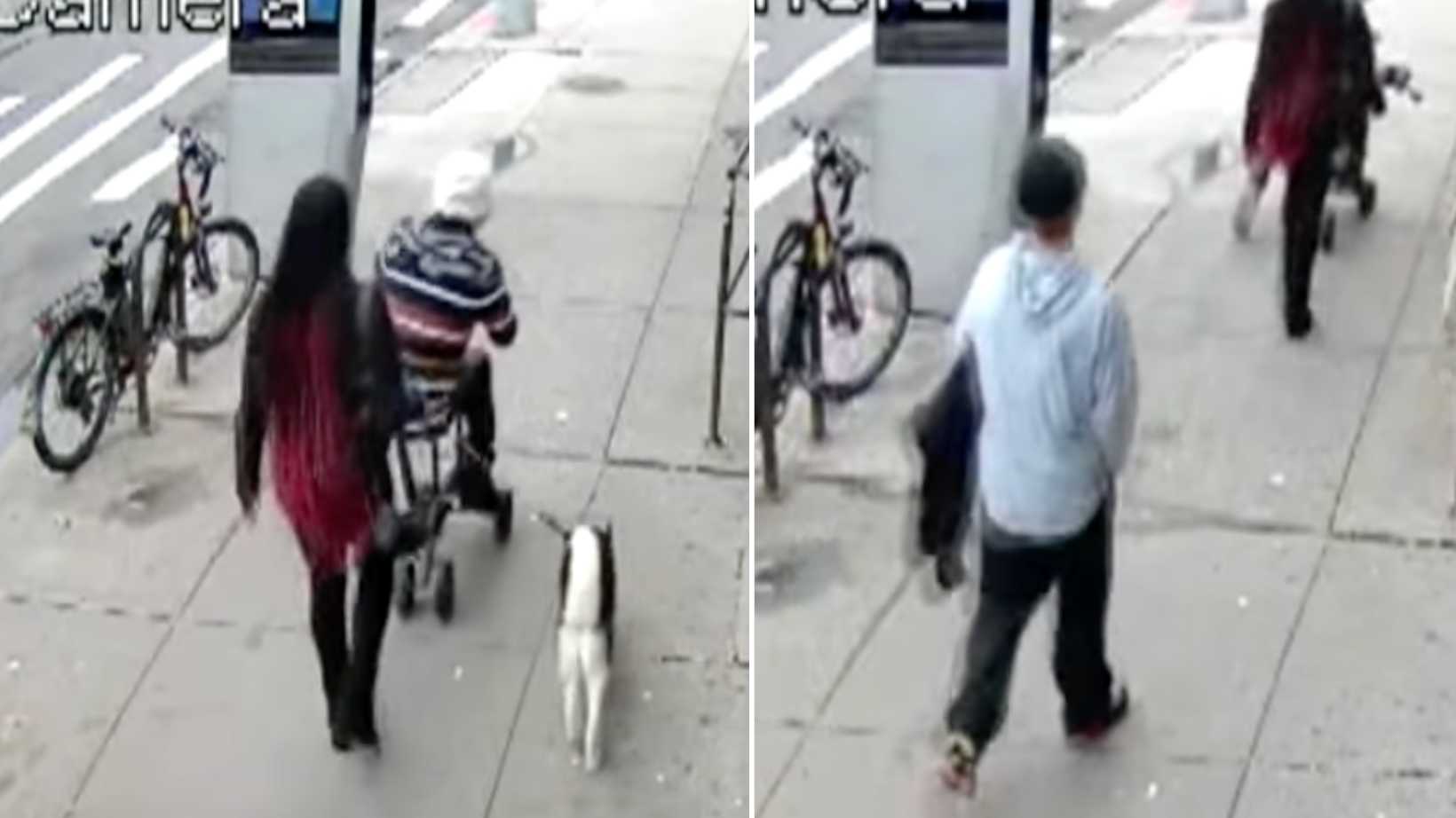 Man Allegedly Stabbed On Sidewalk In NYC By Man And Woman With Husky ...