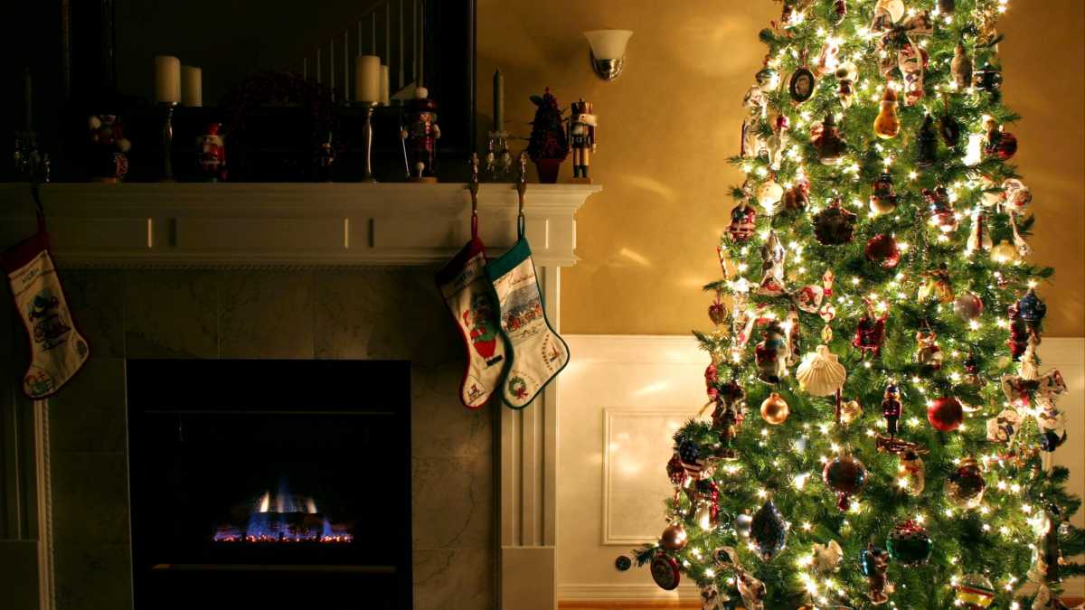 If You've Never Heard Of 'Christmas Tree Syndrome' Here's What It Is ...