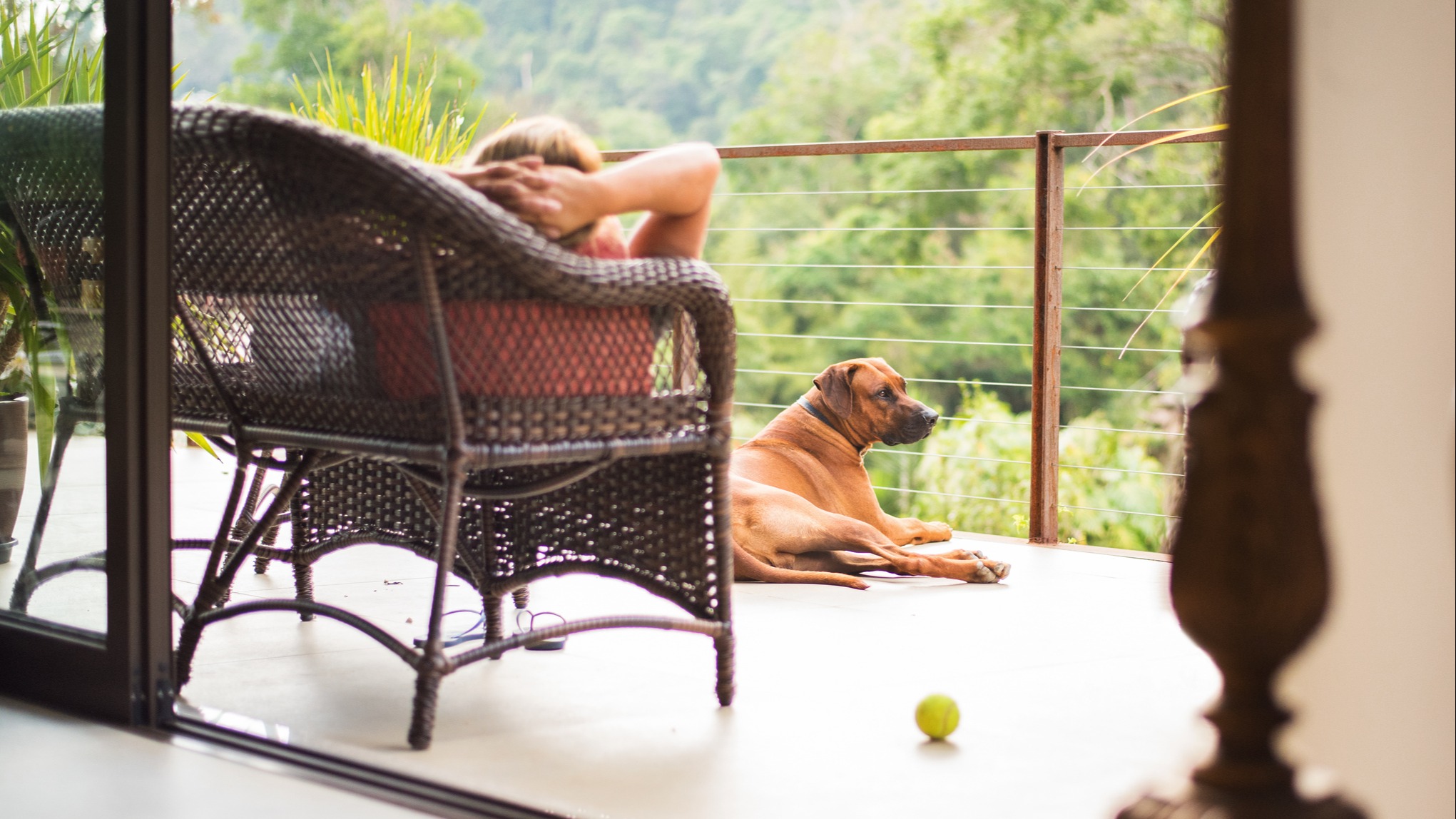 The Stanford Inn By The Sea In Mendocino, California, Is The Best Pet