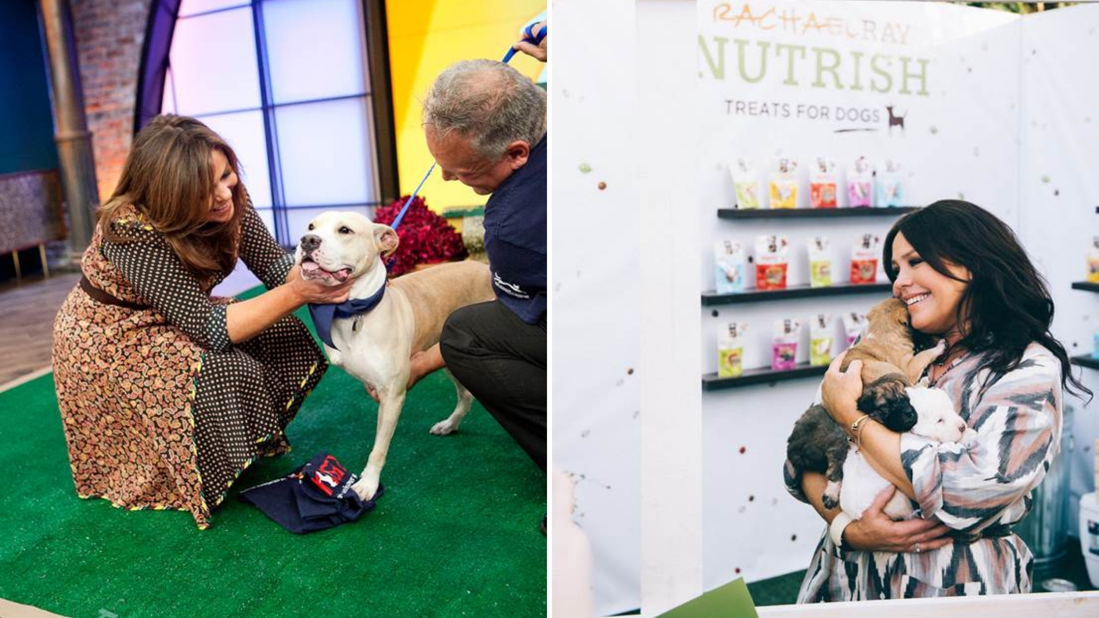 Rachael Ray Works With San Francisco Shelter To Find Senior Dogs