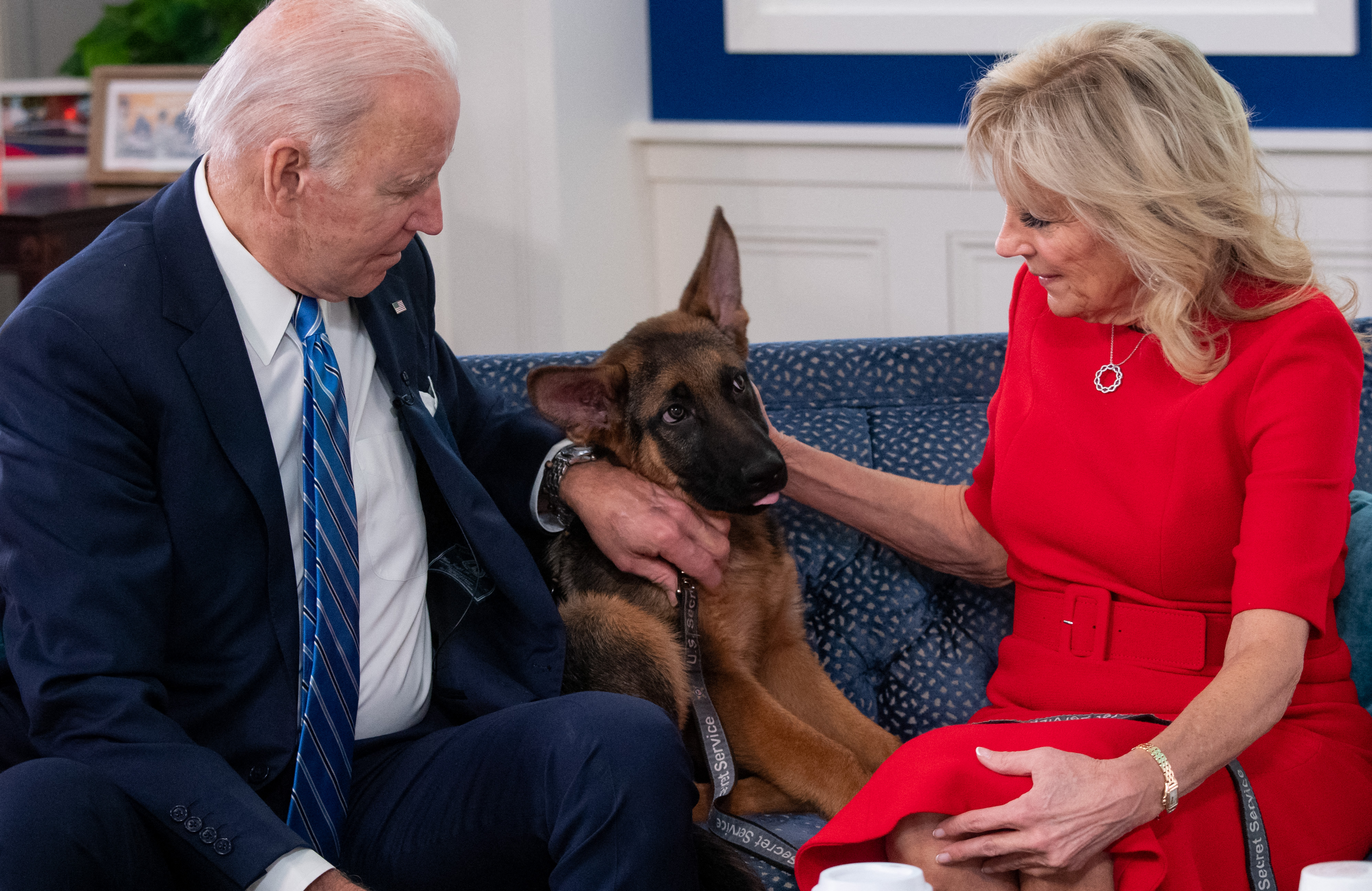 President Biden's German Shepherd, Commander, Bit Secret Service Agents At Least 24 Times
