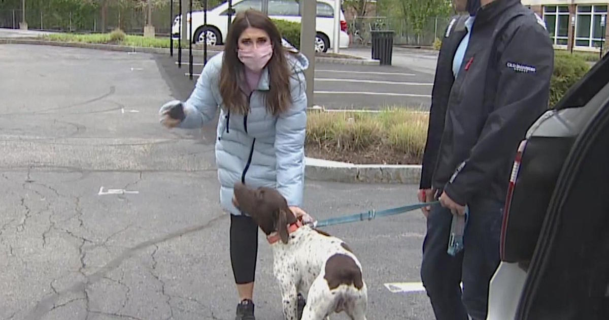 News Anchor Reporting On Stolen Puppy Spots—And Busts—The Dognapper On Live TV