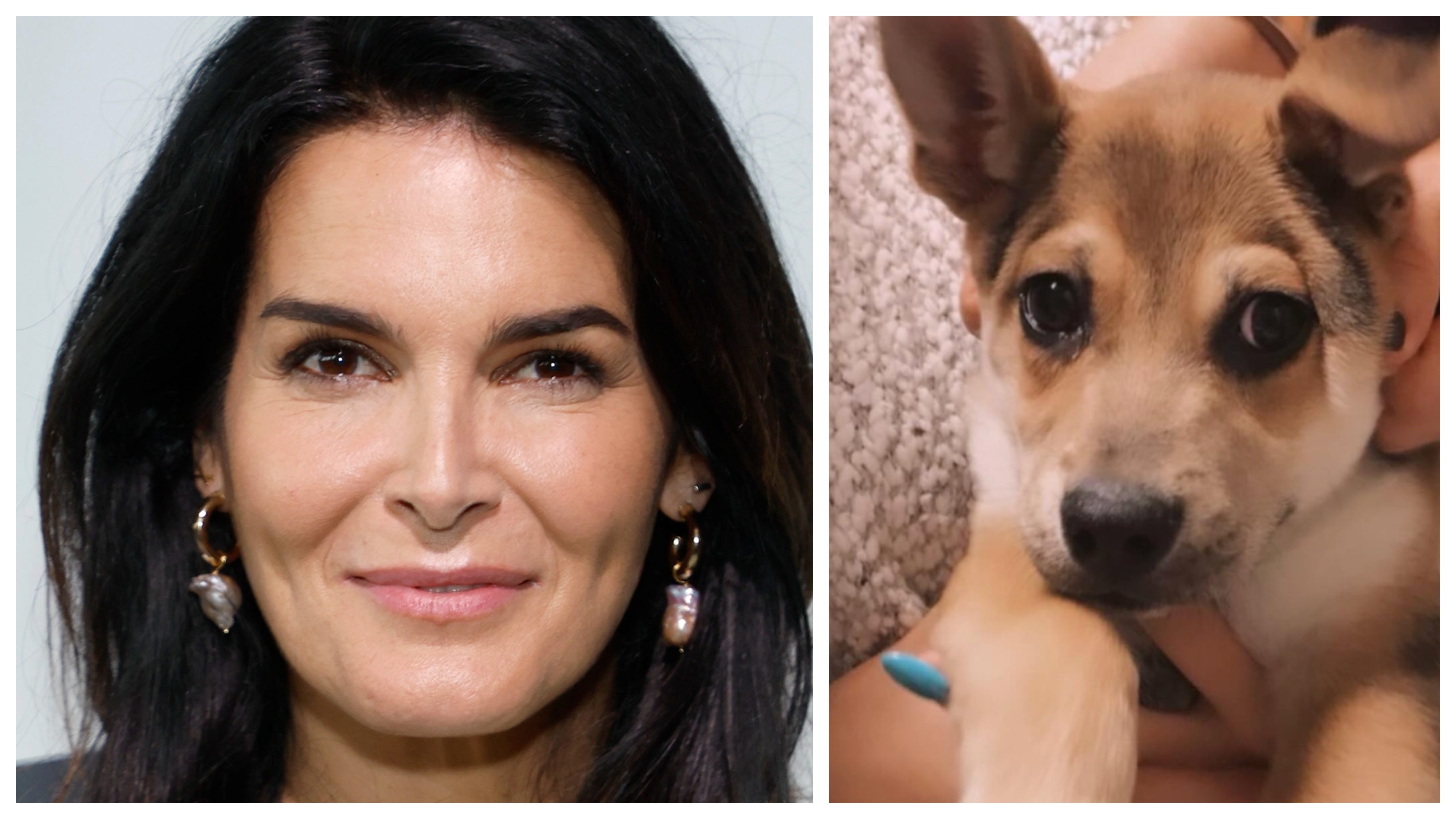 Actress Angie Harmon Says Instacart Delivery Person Shot And Killed Her(02)