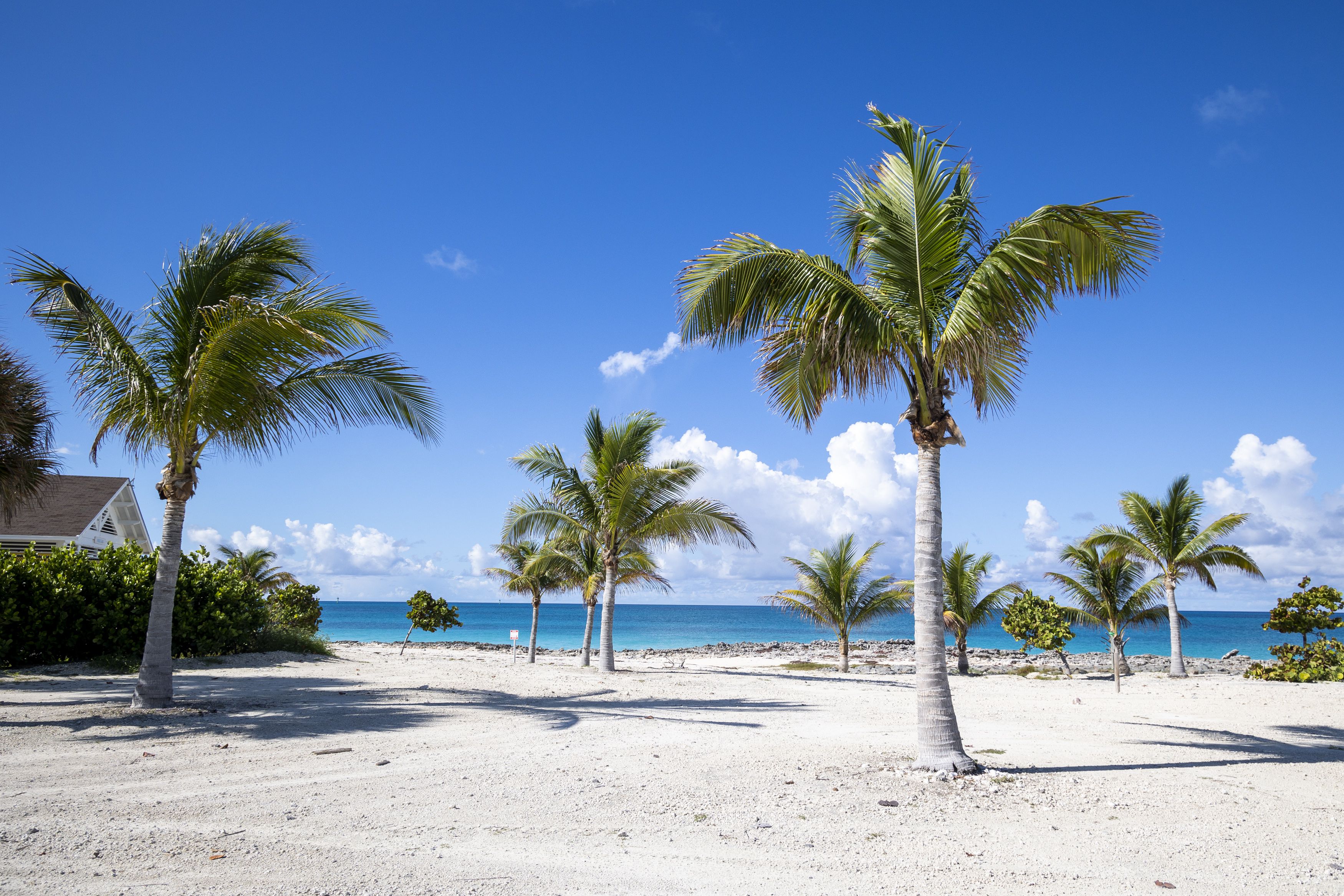 Bahamas Island Listed For Sale For 100 Million