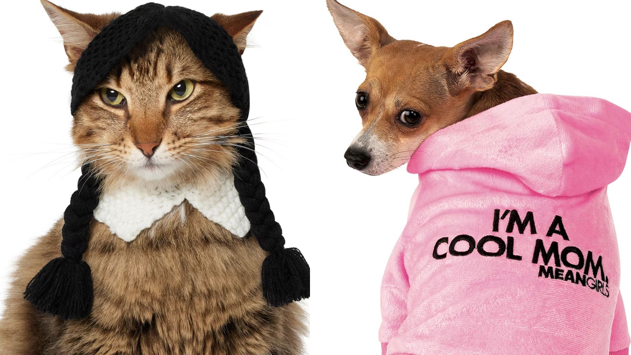 20 Pet Halloween Costumes For Dogs & Cats