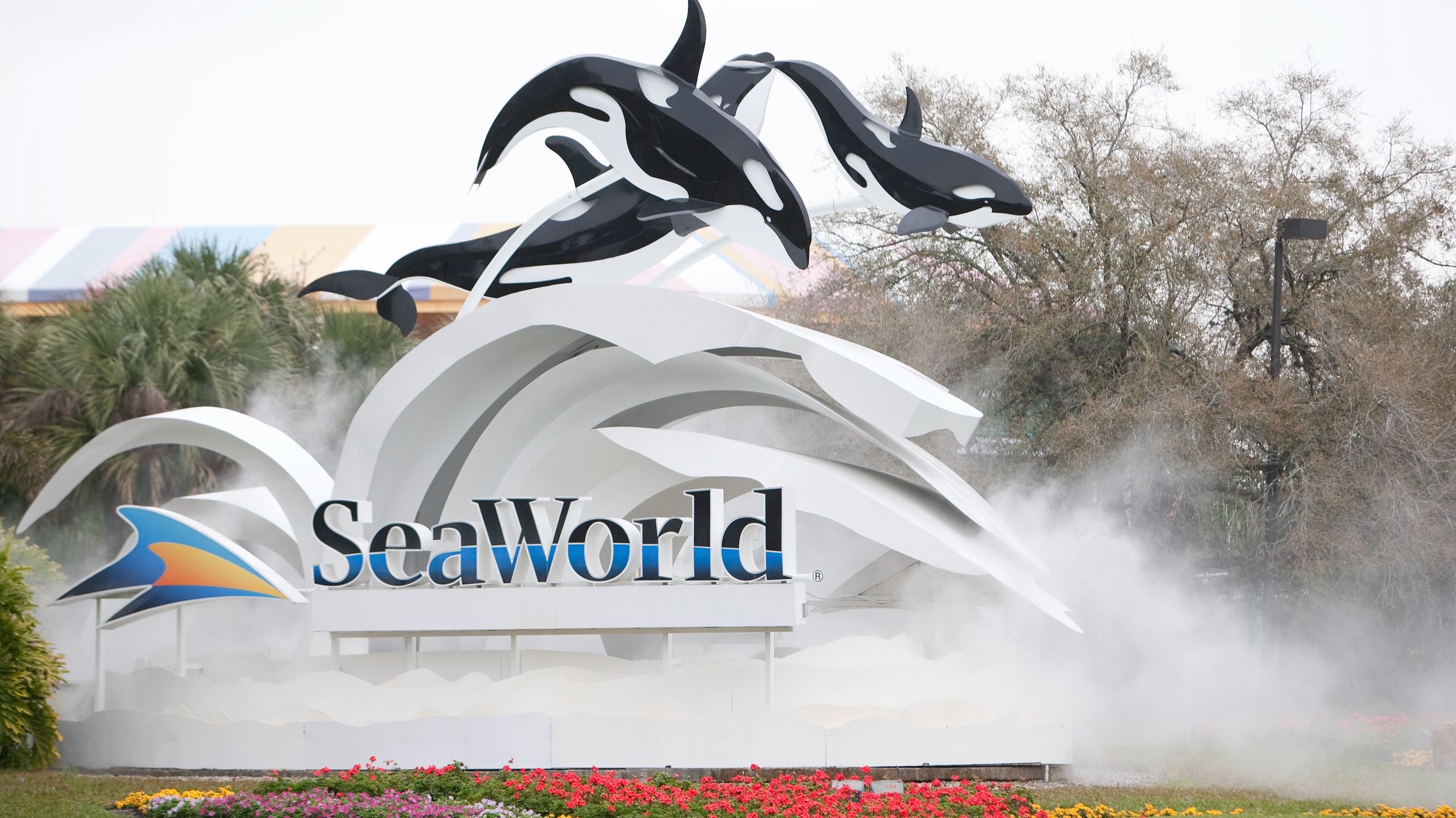 Popular SeaWorld Mime Explains Why He Is No Longer Working At The Park ...