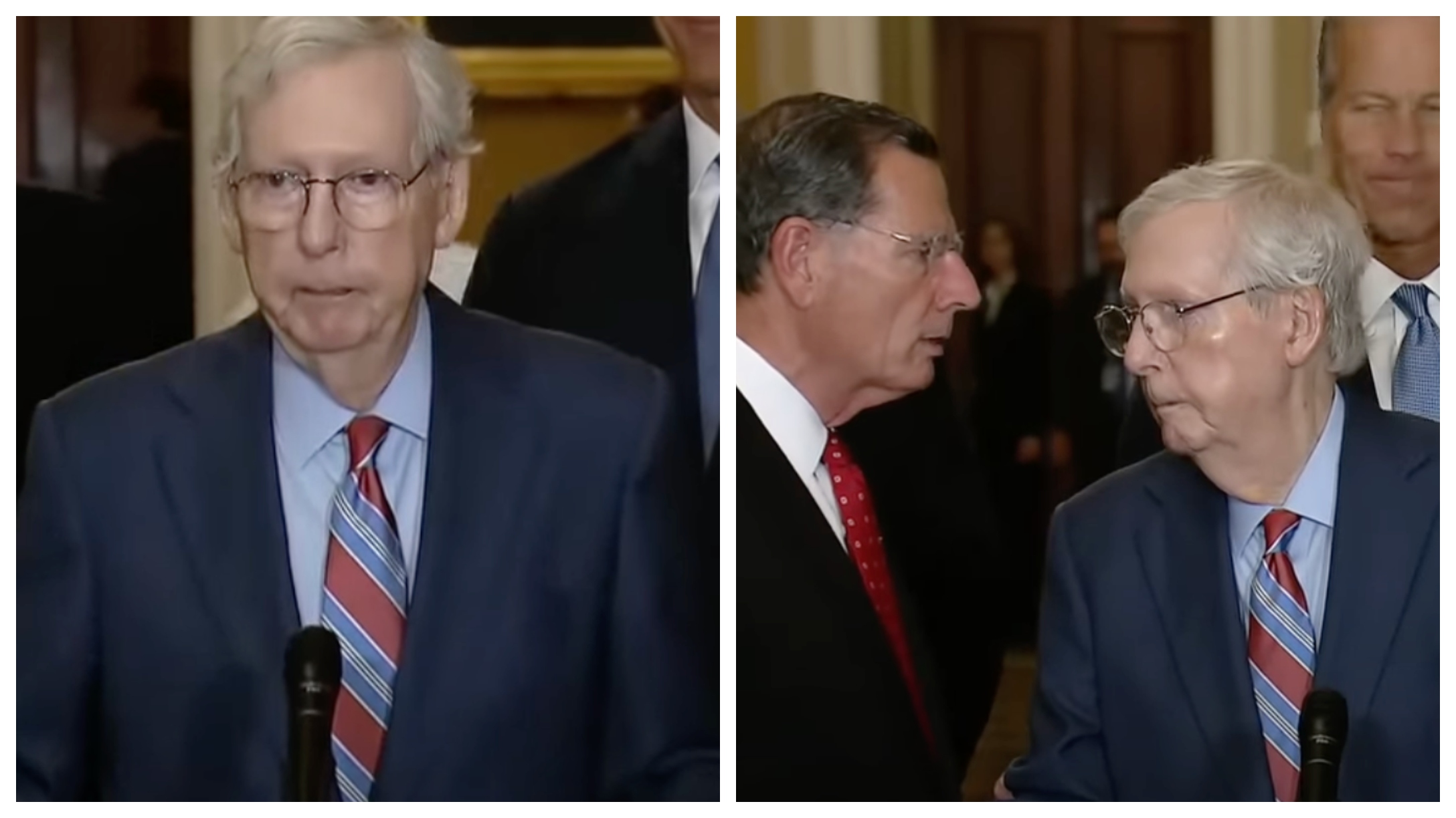 Mitch McConnell Freezes During Press Conference | LittleThings.com