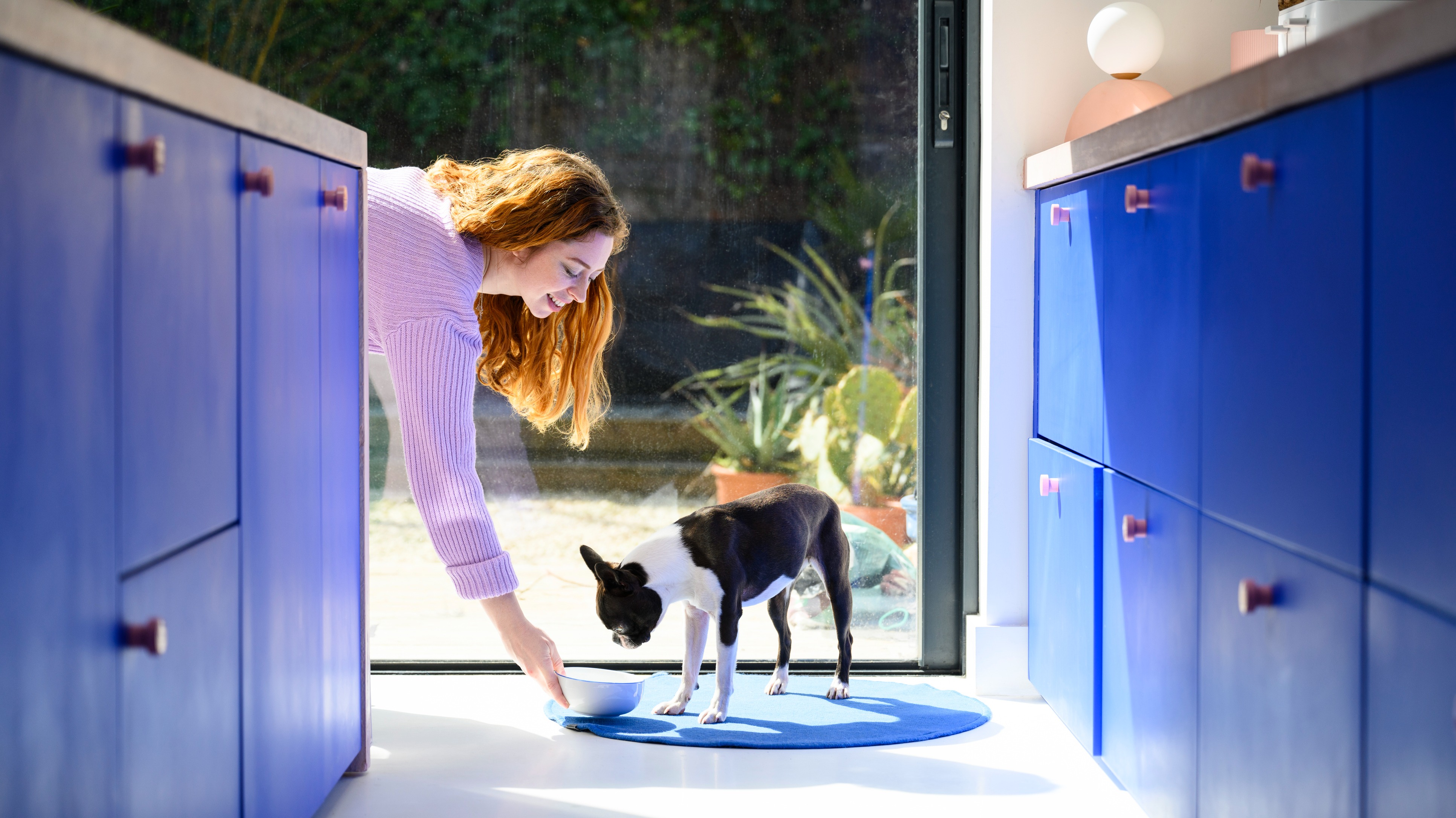 Get Joy Dog Food Is My Dog's New Favorite Thing