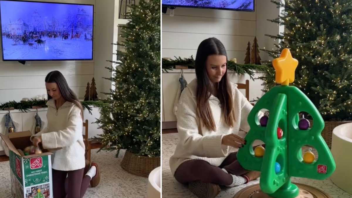 Beige' Mom Shares She Repainted Her Toddler's Christmas Tree, Gets Roasted  In The Comments