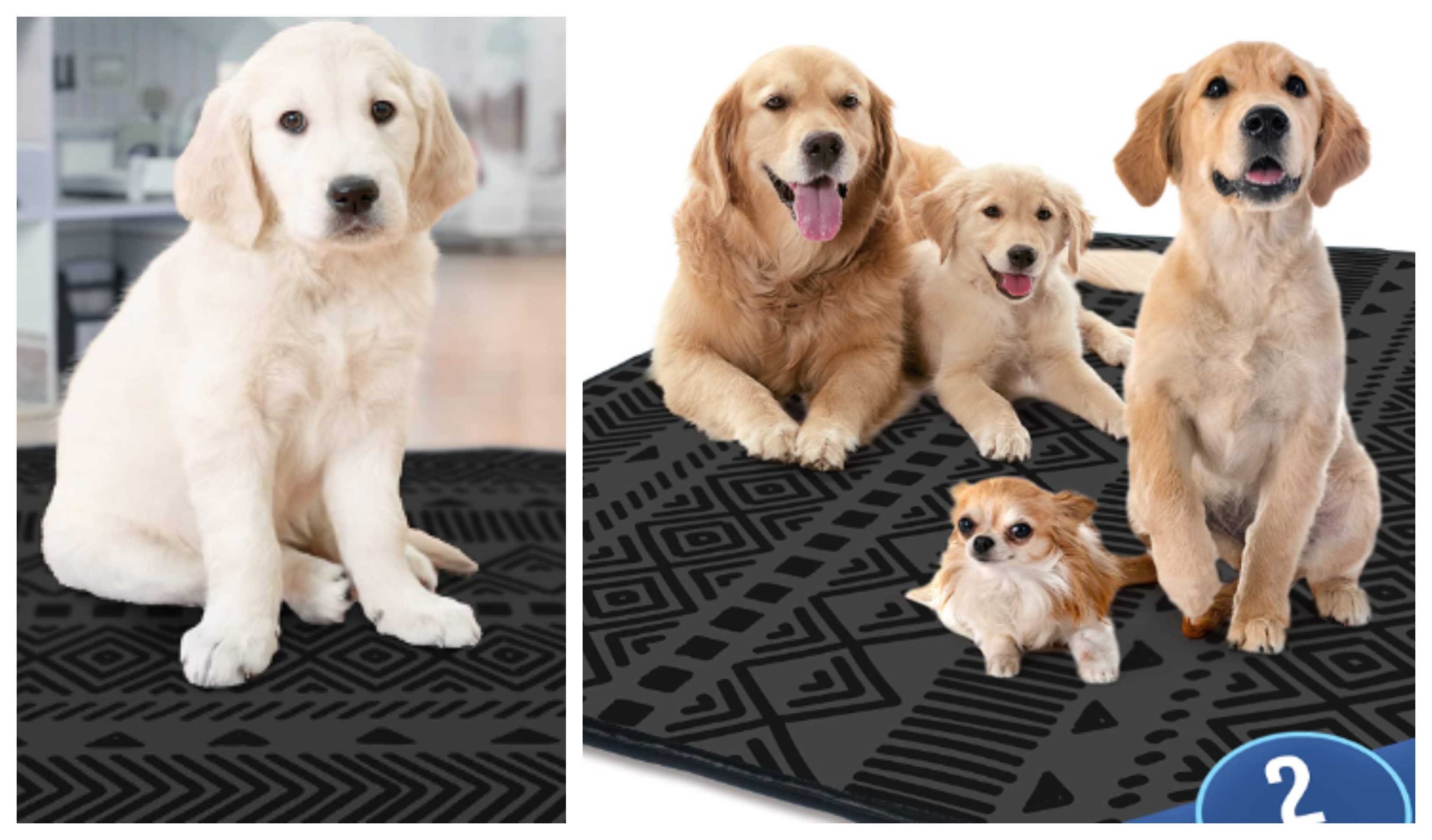 These Reusable And Washable Dog Pads Are Changing The Dog Training Game
