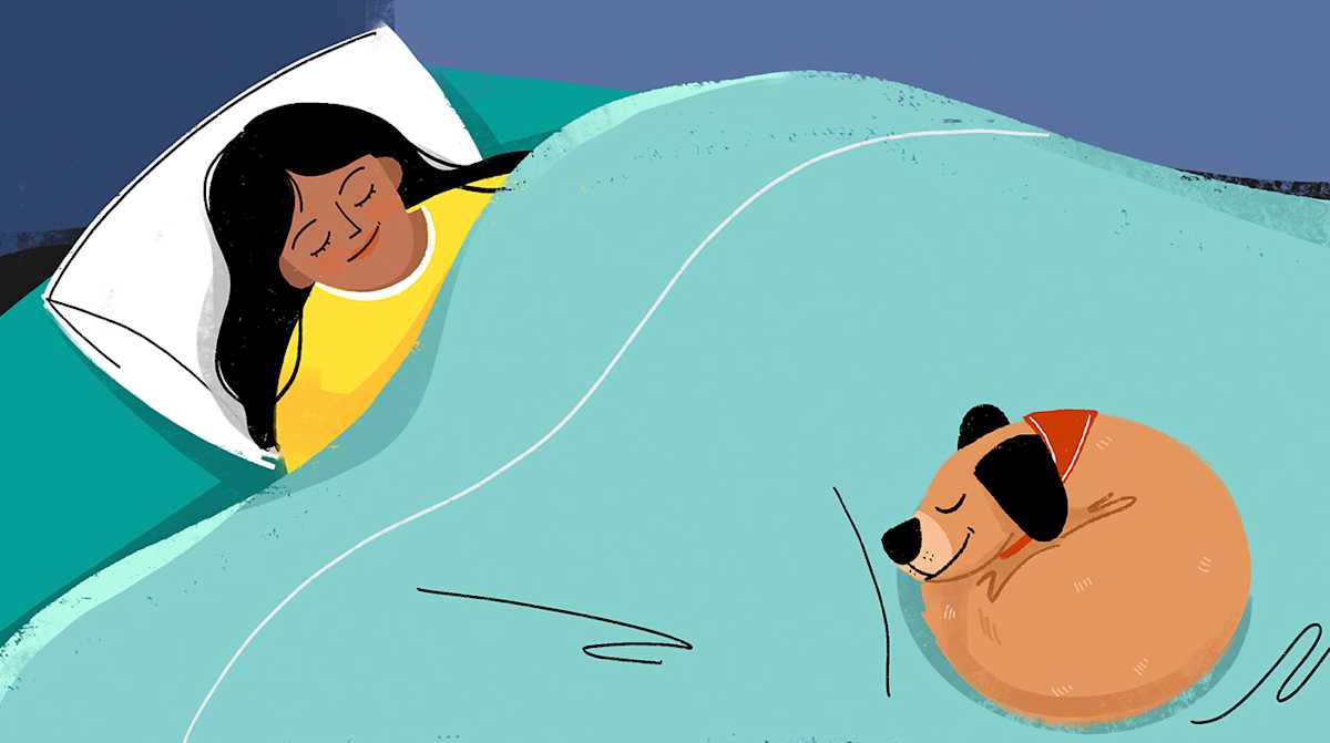 LT The Dog To Sleep 01 LT The Dog To Sleep 01