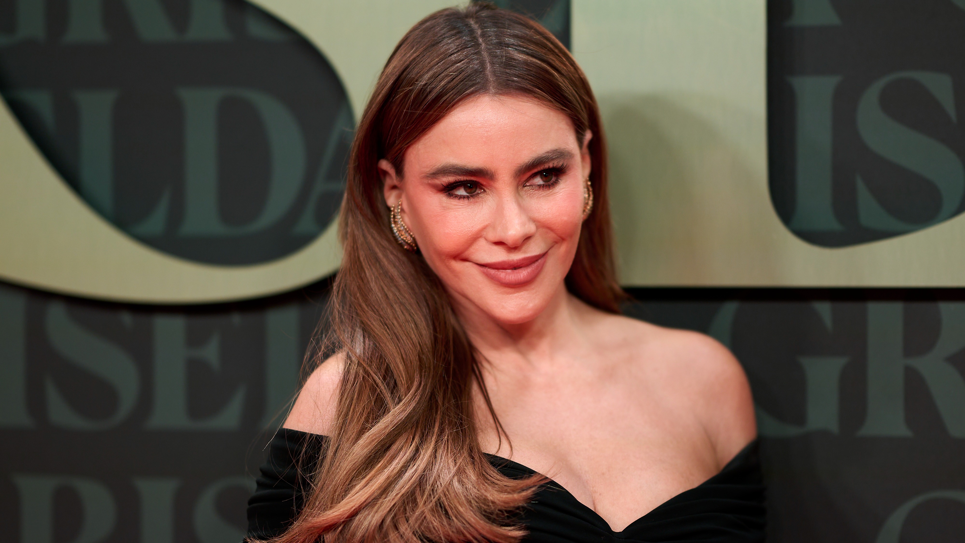 Sofía Vergara Talks About Why She And Joe Manganiello Got Divorced