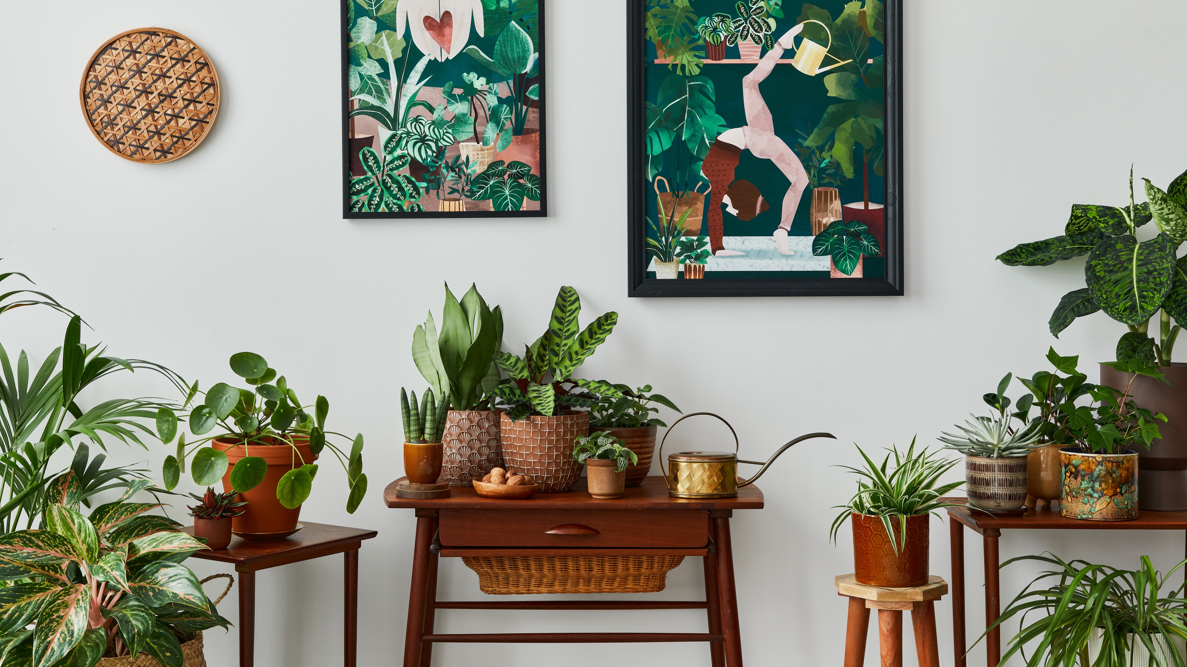 10 Plants That Won't Die If You To Water Them For A Week