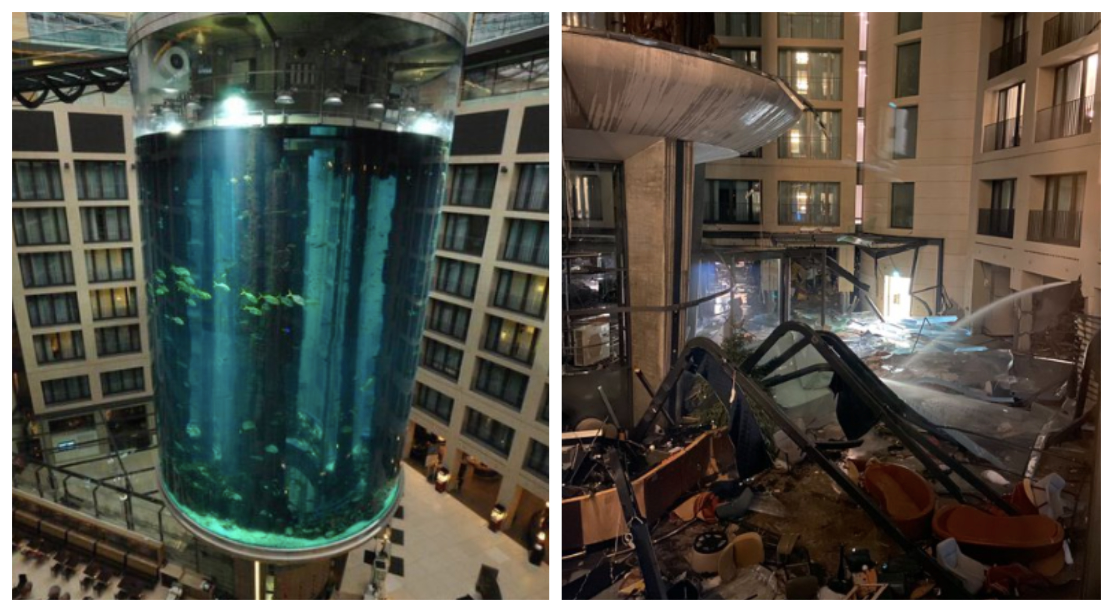 Footage Shows The Aftermath After An Enormous Aquarium Burst In Berlin