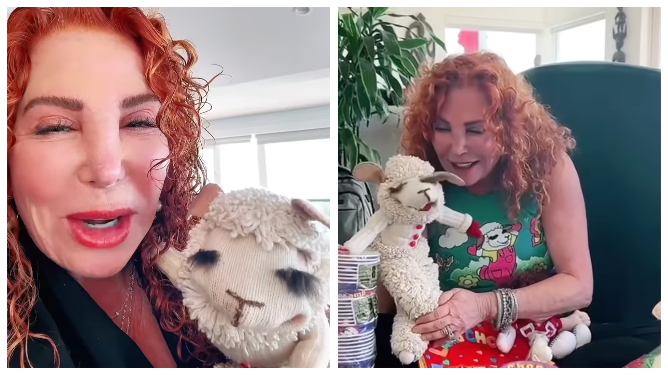 Lamb Chop Is Now On TikTok Thanks To Shari Lewis' Daughter
