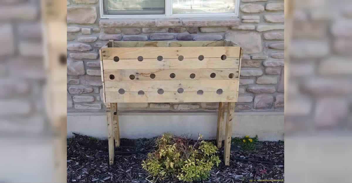 Garden Box Made Of Recycled Pallets Is Perfect For Summer