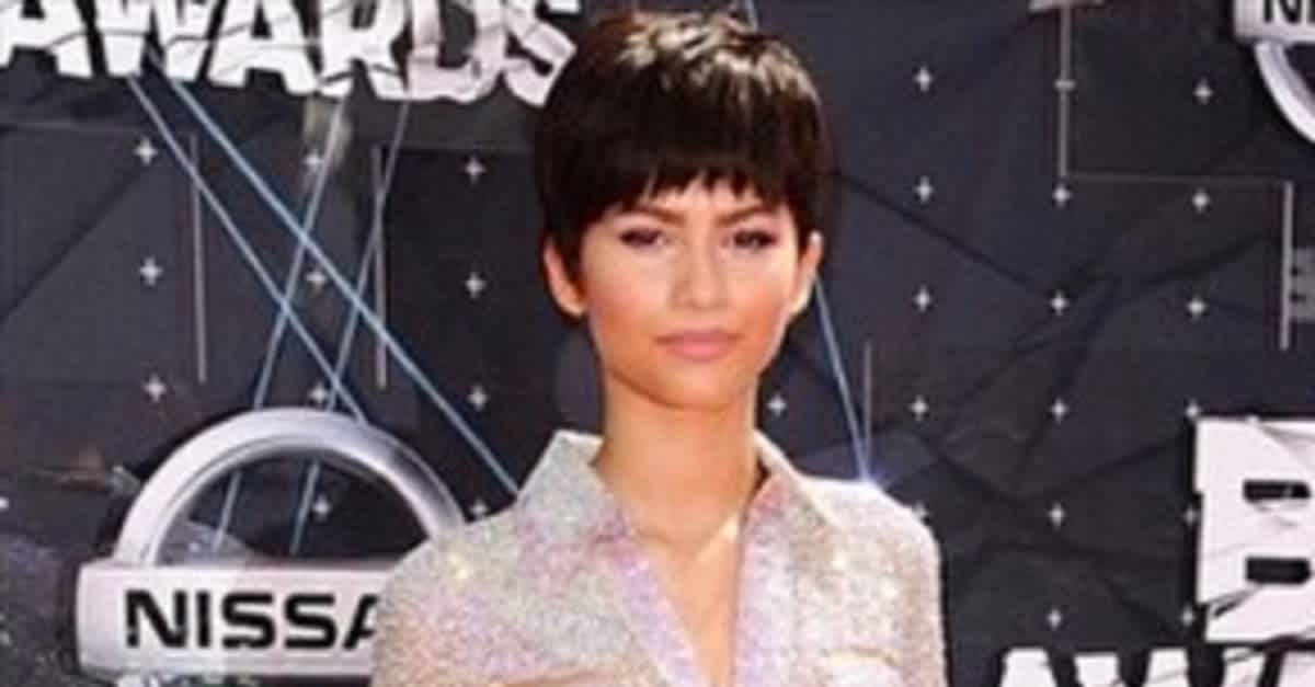 Haters Criticized Zendaya's Short Hair At The BET Awards. Her Response? You  HAVE To See Her Epic Tweet!