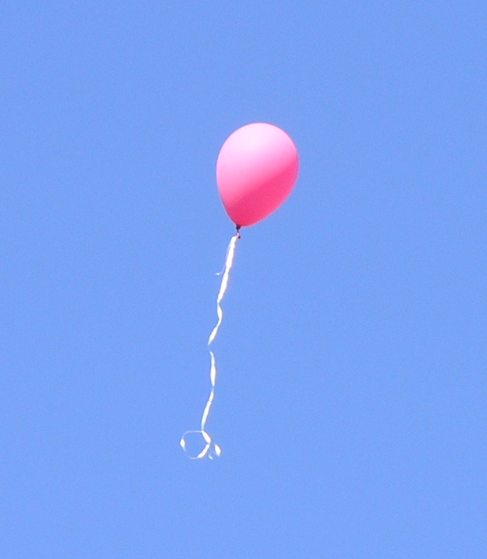 Why You Should Never Release Balloons Into The Sky | LittleThings.com