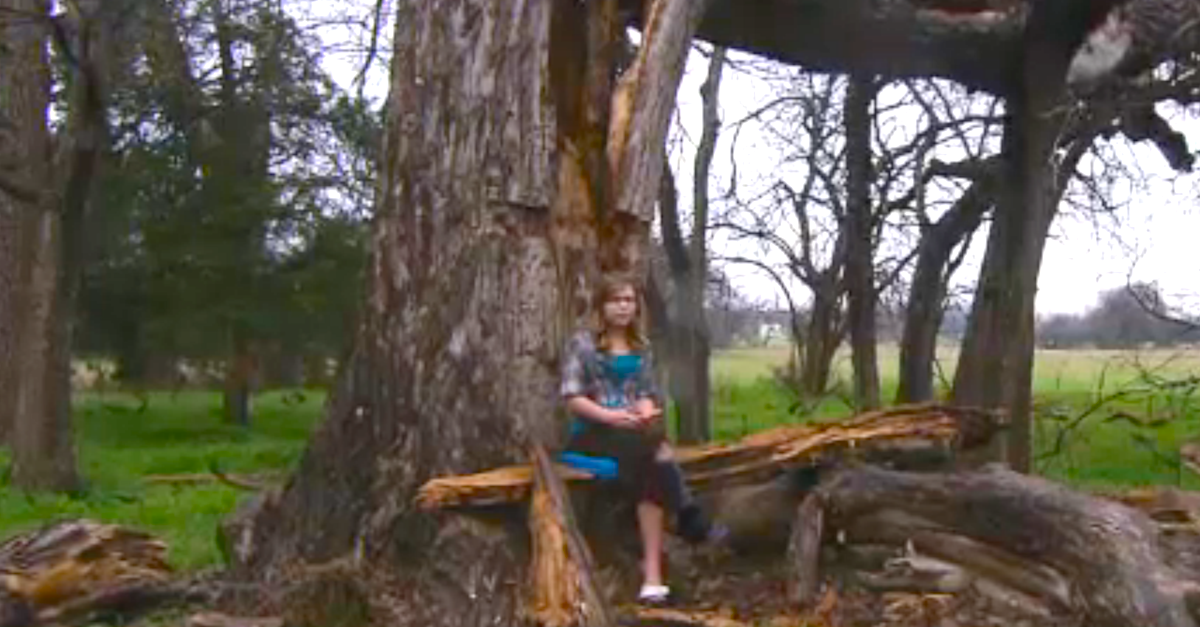 Anna Beam Fell In Tree The Best Picture Of Beam