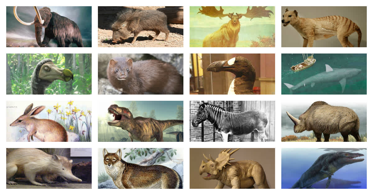 Find Out Which Extinct Animal Shares Your Soul. Mine Was Crazy True…And