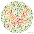 1 In 12 Men And 1 In 0 Women Can T See Color Could You Be One Of Them Littlethings Com 1 In 12 Men And 1 In 0 Women Can T See Color Could You Be One Of Them Littlethings Com