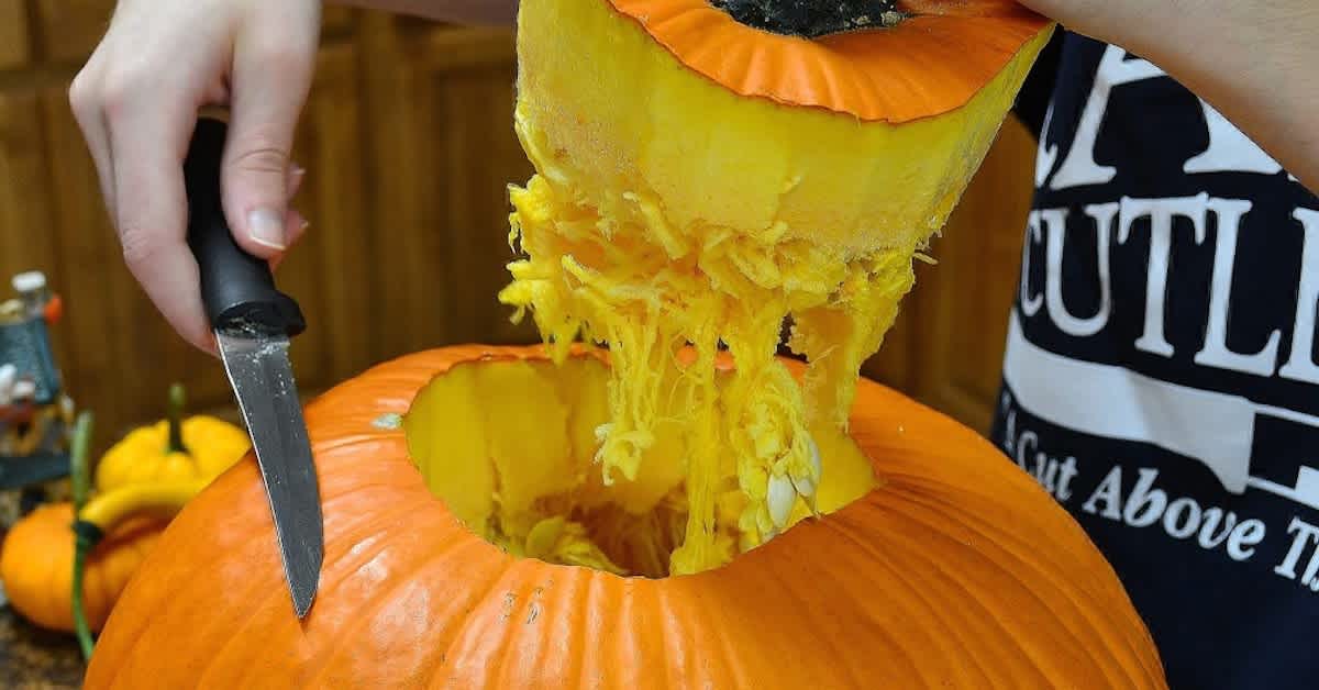 I Thought She Was Carving A Normal Pumpkin — But The Final Result? This ...