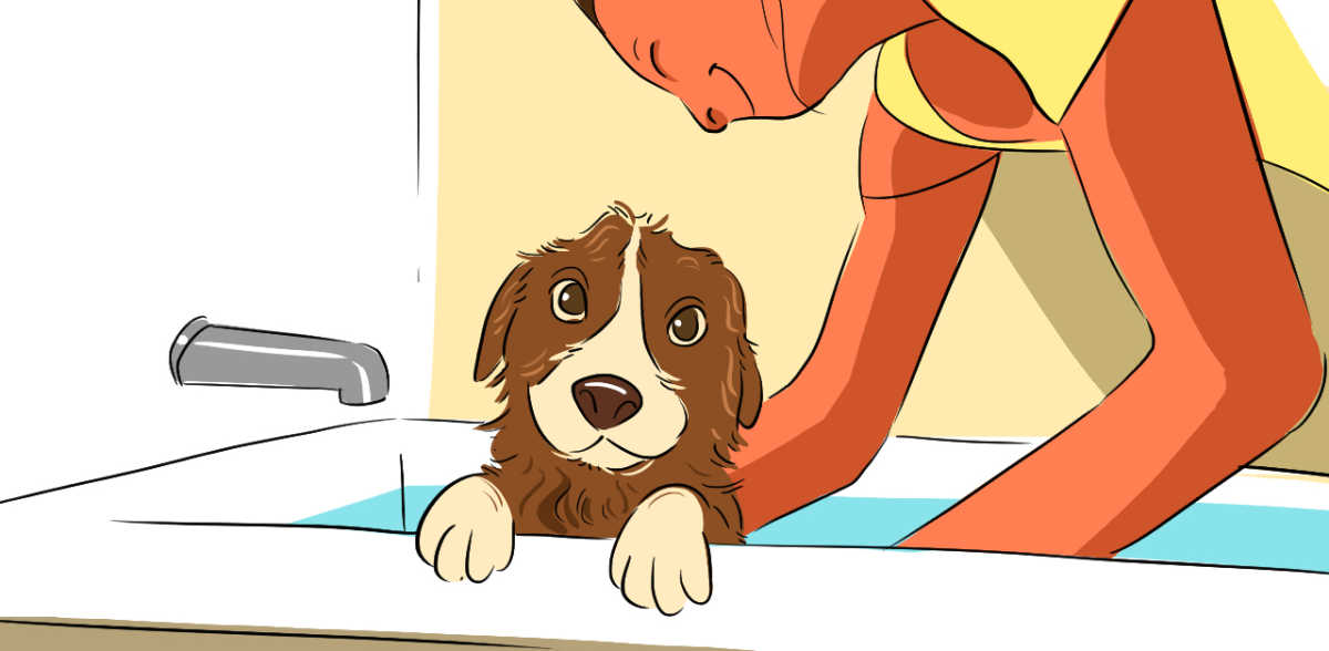 when can you give a puppy a bath