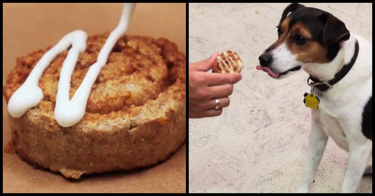 Cinnamon Roll Dog Treats Recipe