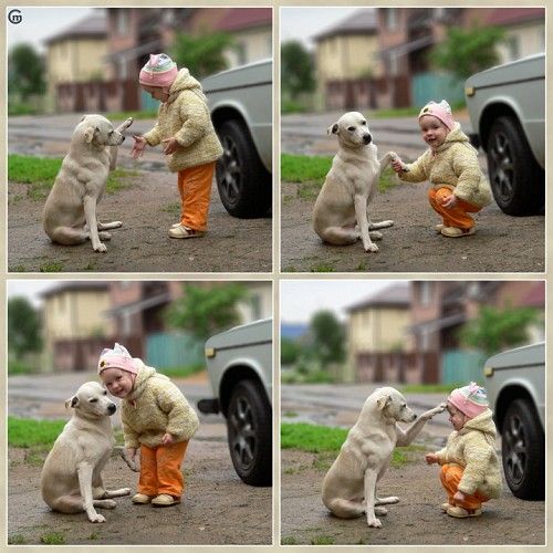 babypuppy3