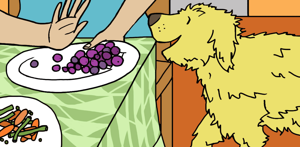 Can dogs best sale have grapes