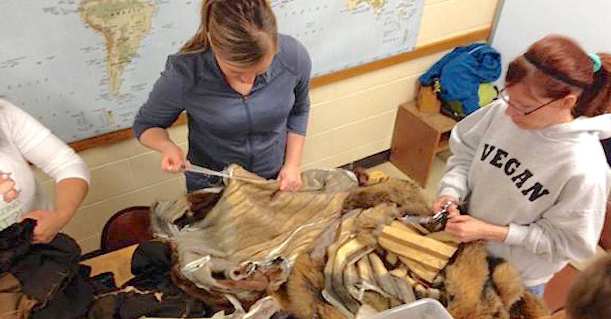 These Women Rip Apart A 1,000 Fur Coat. The Reason? Truly INCREDIBLE