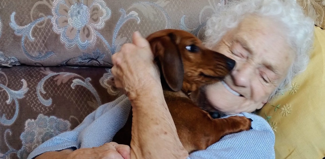 Grandma Is Cheered Up By DementiaTherapy Dog