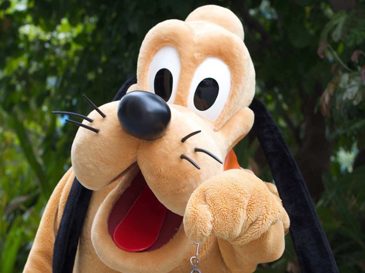78 Best Disney Dog Names (Plus 33 Pixar Names) 