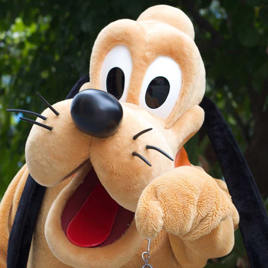 78 Best Disney Dog Names (Plus 33 Pixar Names) | LittleThings.com 78 Best Disney Dog Names (Plus 33 Pixar Names) | LittleThings.com
