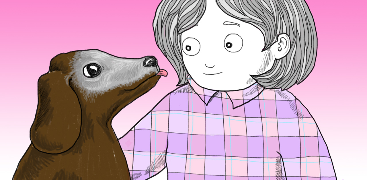 Is Your Dog Going Gray? 6 Reasons Why