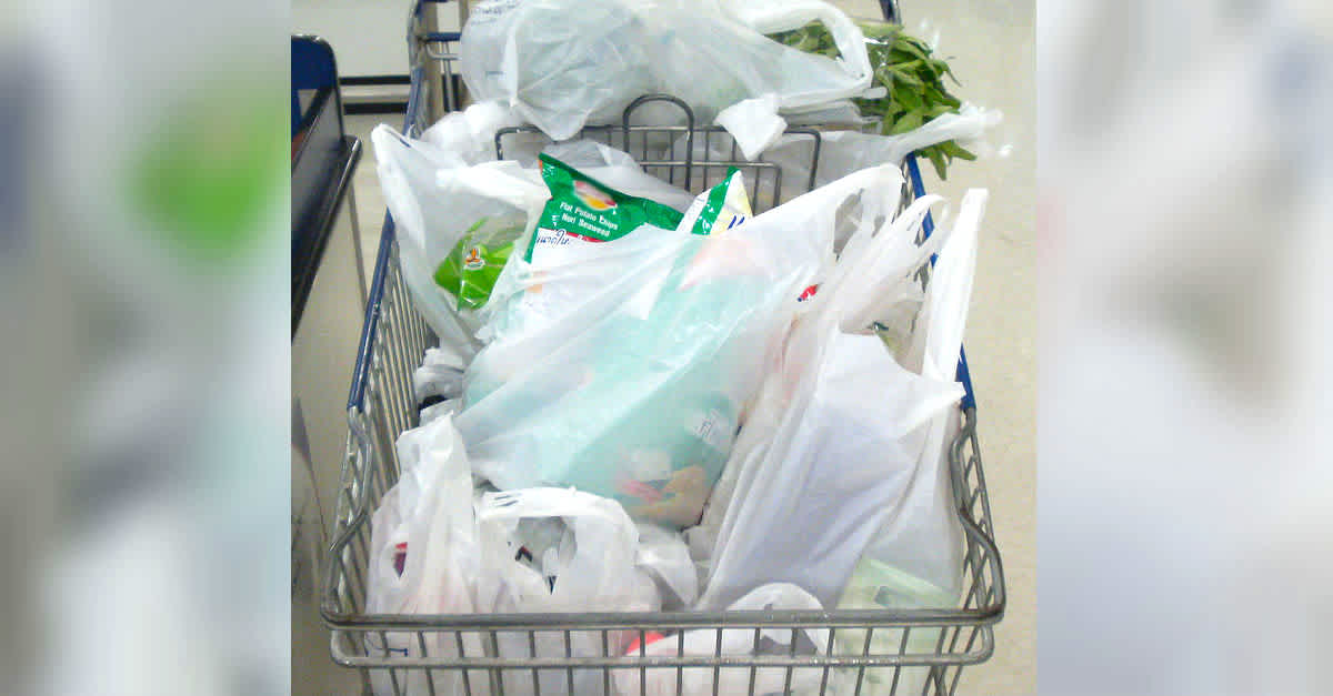 13 Genius Ways To Reuse Plastic Bags | LittleThings.com