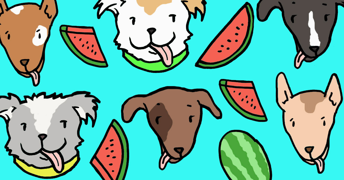 Can dogs eat watermelon clearance rinds