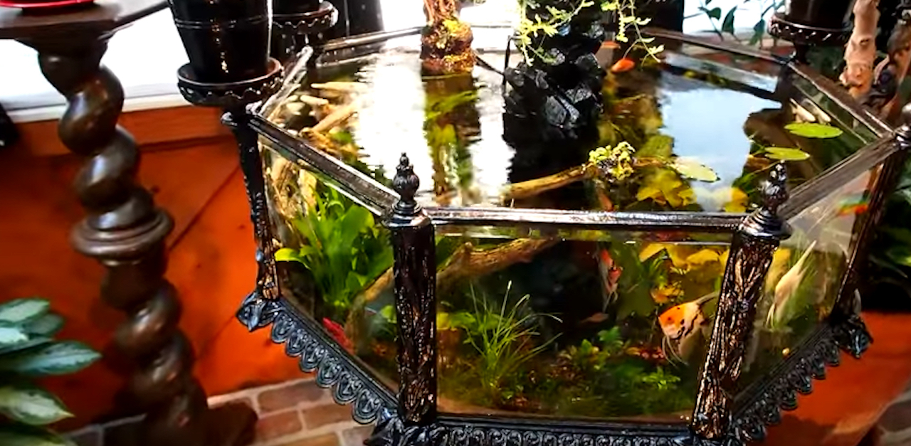 Victorian aquarium best sale