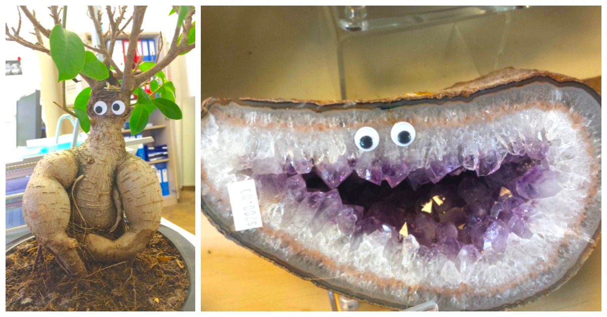 13 Best Places People Have Put Googly Eyes