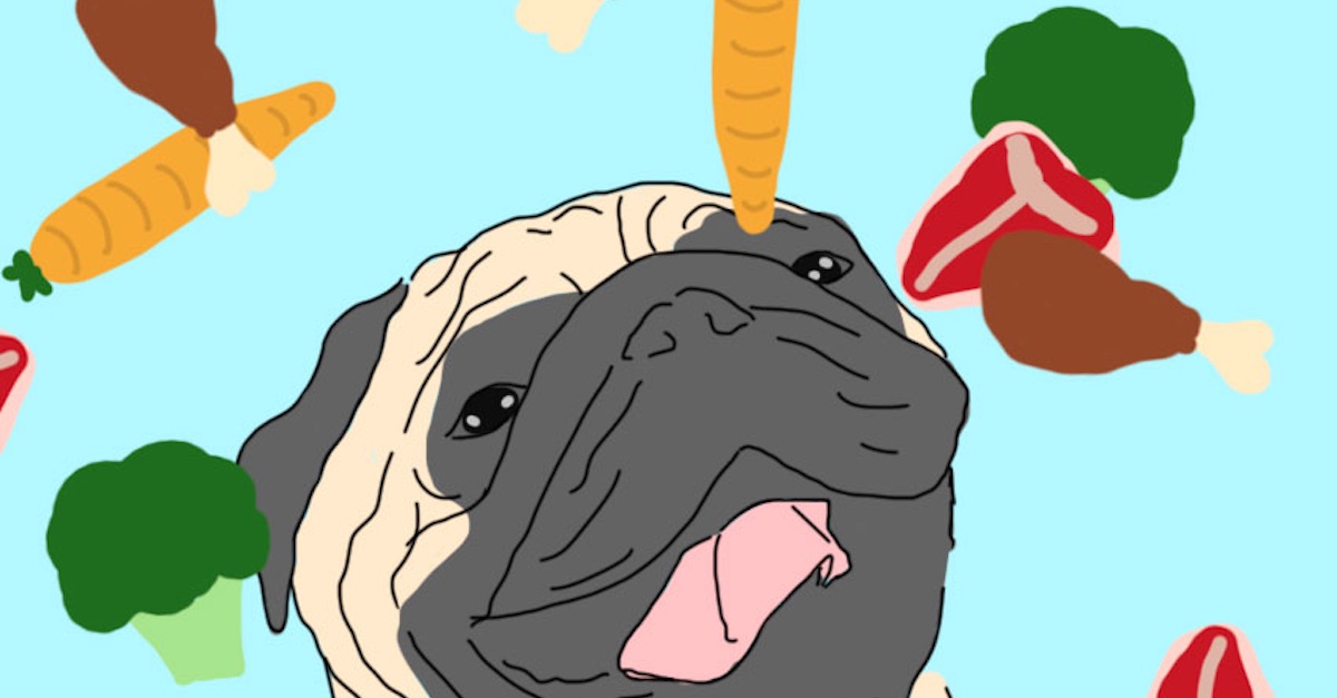 Do THIS With Your Senior Dog To Make Her Feel Young Again! I Had No