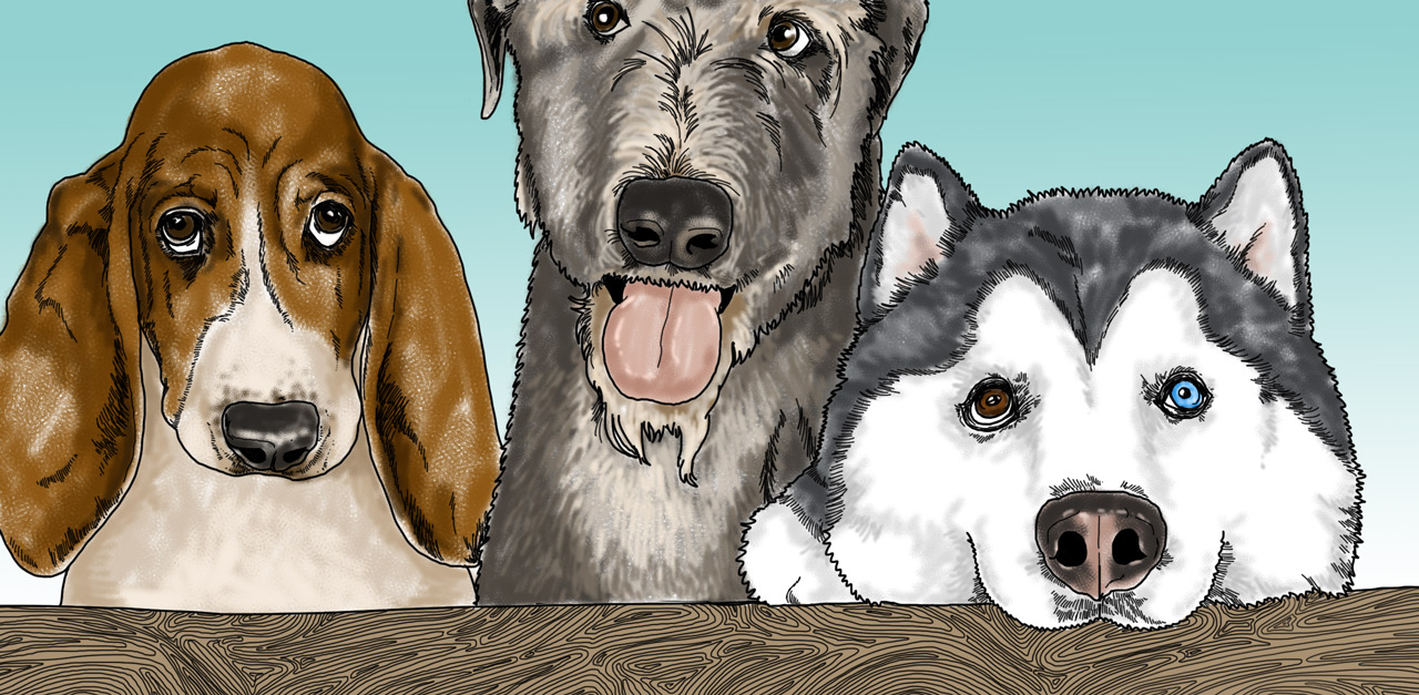 10 Common Health Problems Among Popular Dog Breeds That Owners Should