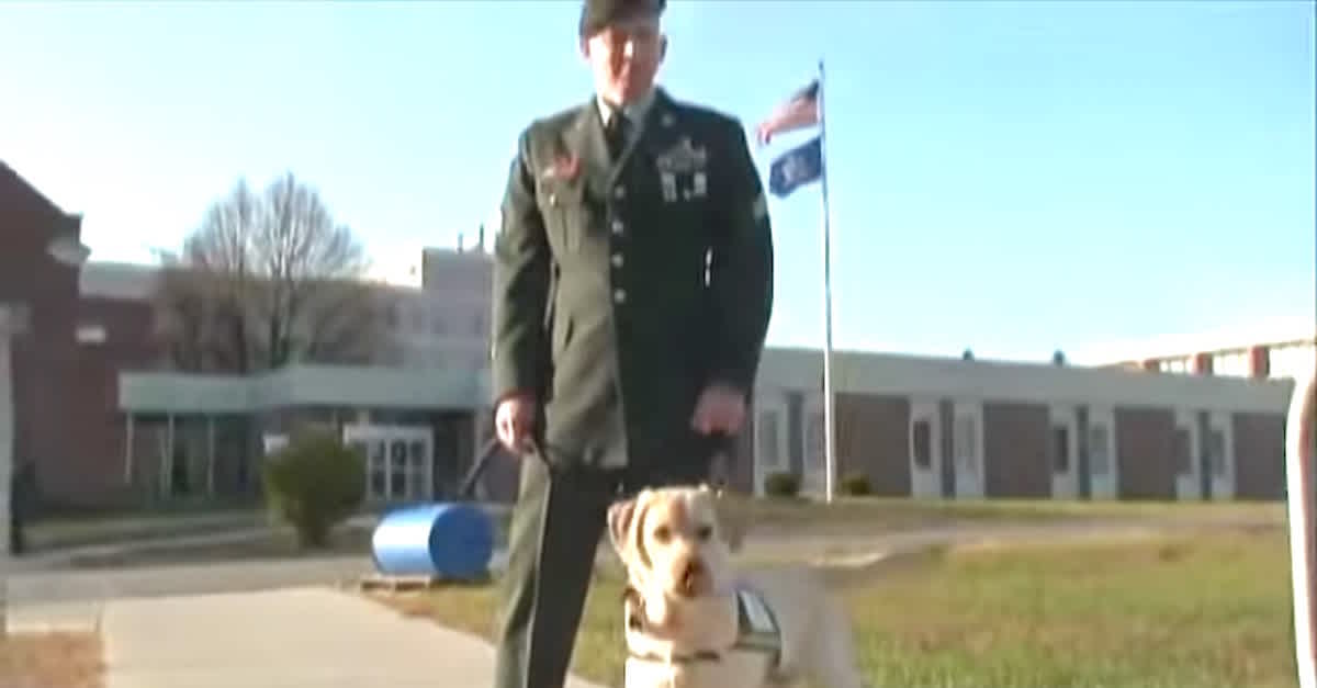 Army Veteran Brings His Service Dog To Prison, But Watch When The Pup Runs  Off... | LittleThings.com