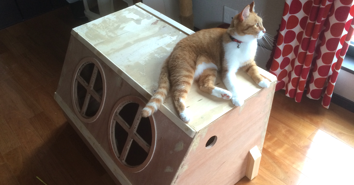 child proof litter box