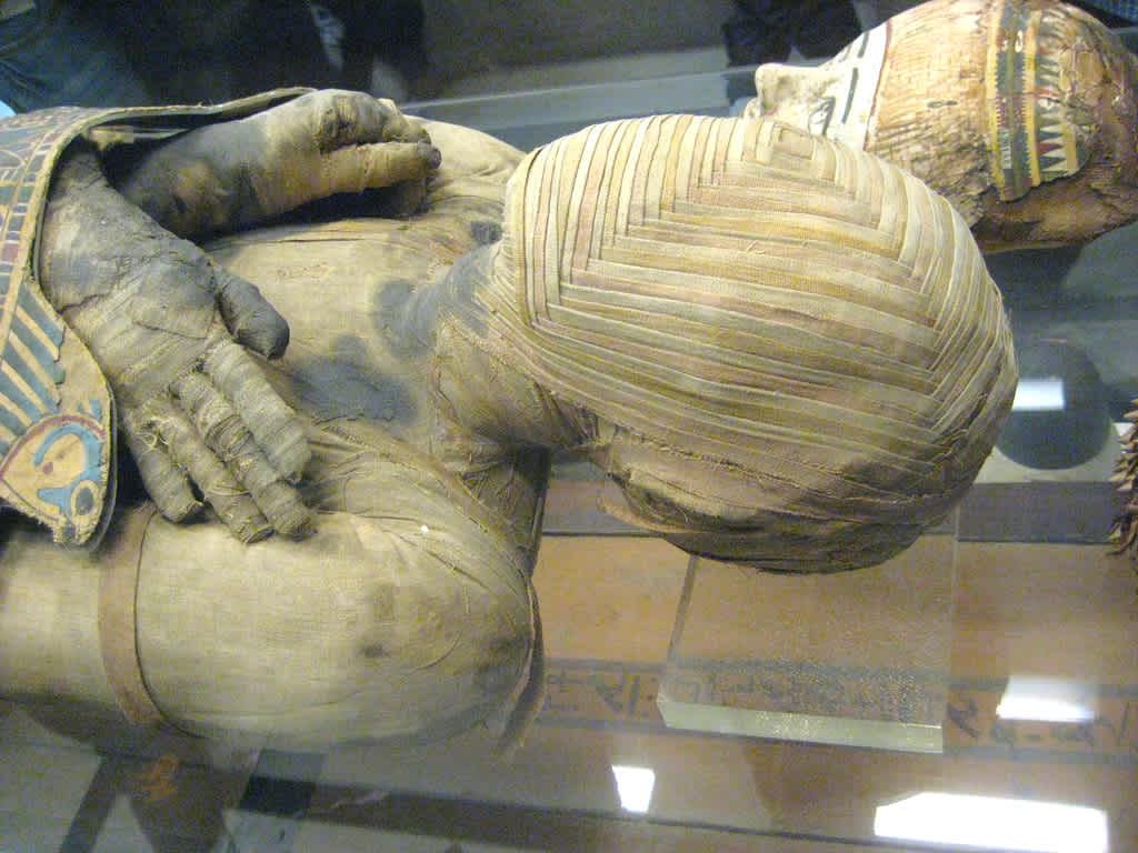 wrapped mummy wrapped mummy