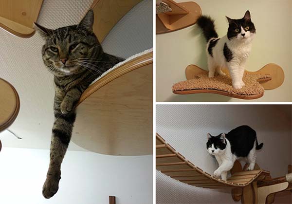 cat-furniture3