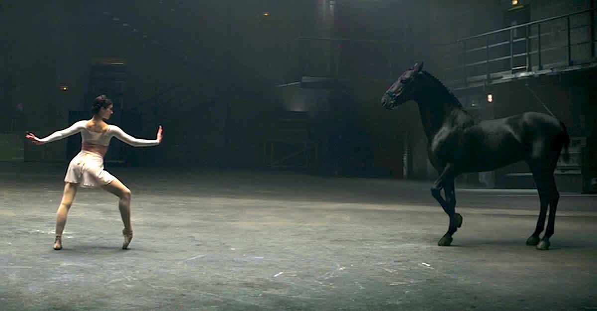 Танец лошадки. Танец с лошадью. Лошадь танцует. Балерина и лошадь. Танцуй лошадь.