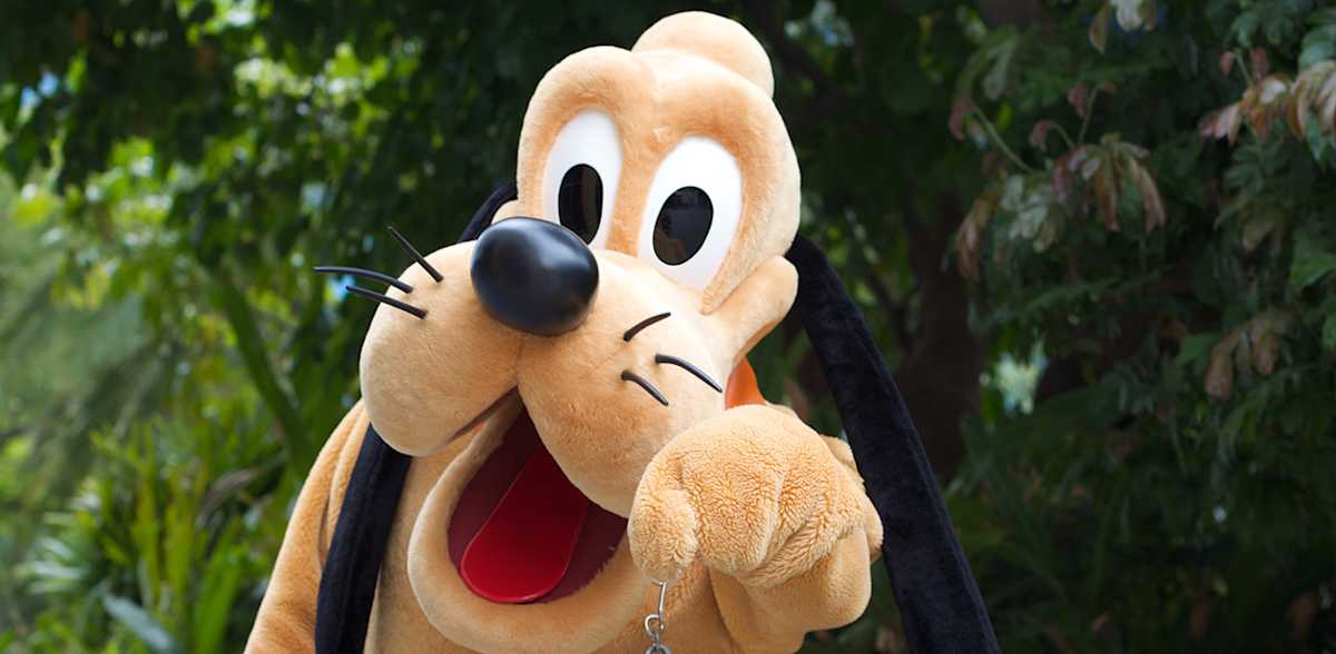 78 Best Disney Dog Names Plus 33 Pixar Names Littlethings Com 78 Best Disney Dog Names Plus 33 Pixar Names Littlethings Com